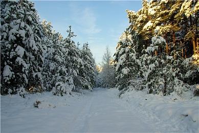 《博德之门3》5号迷你补丁上线 修正崩溃启动等问题